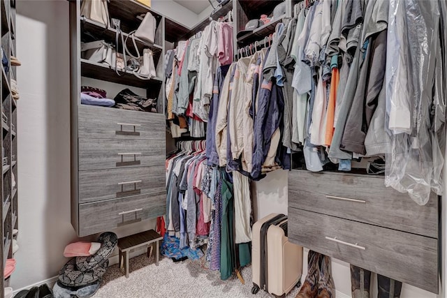 spacious closet featuring carpet