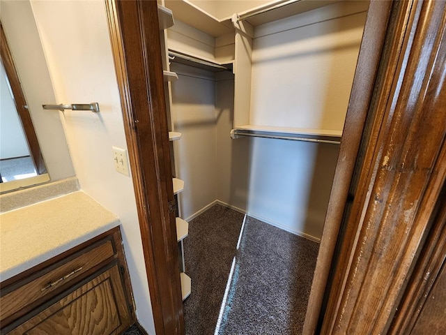 walk in closet with carpet floors