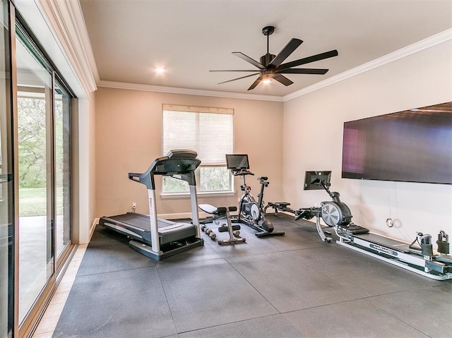 exercise area with ceiling fan and ornamental molding