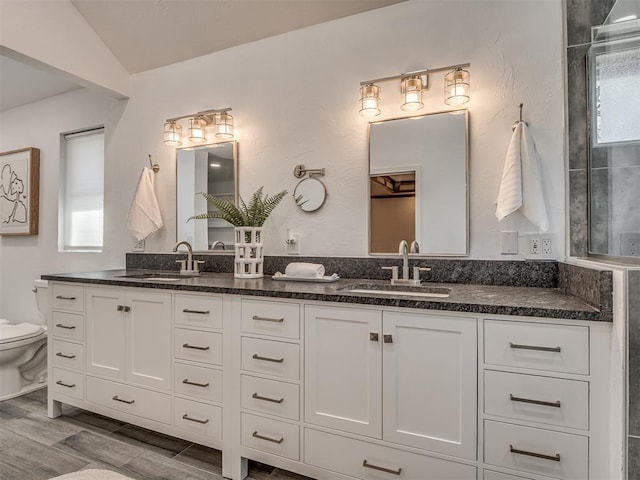 bathroom with plenty of natural light, a sink, and toilet