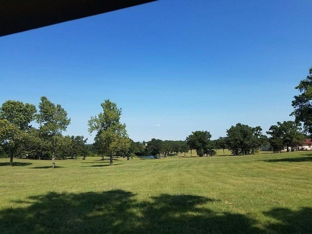 view of community featuring a yard