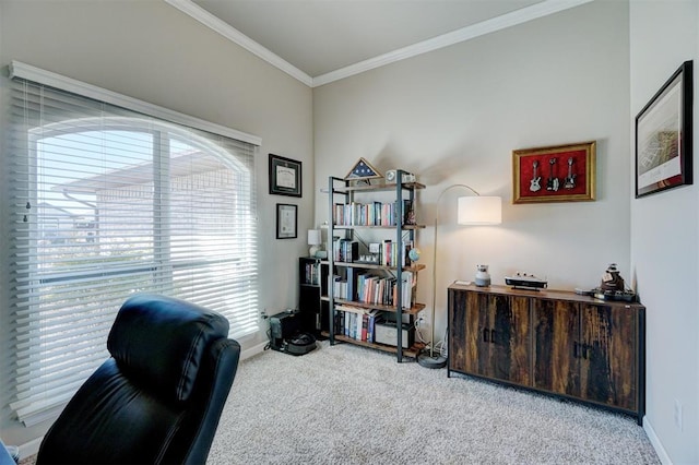 office with carpet floors, baseboards, and ornamental molding