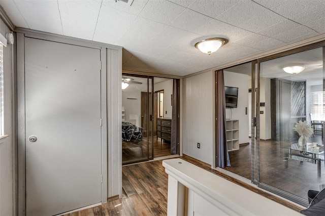 hallway featuring dark wood-type flooring