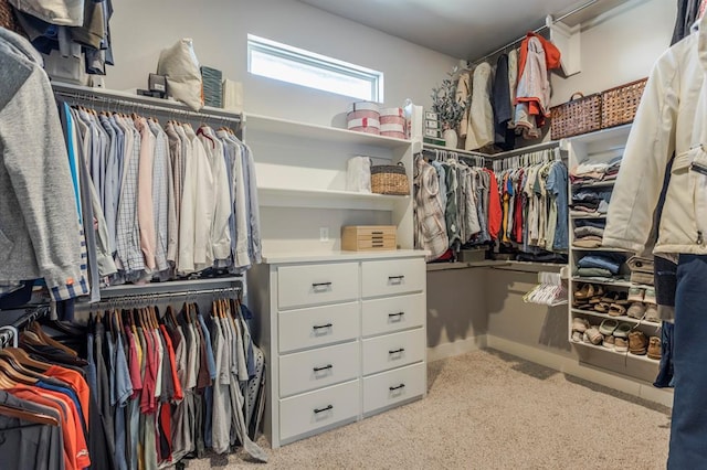 view of spacious closet