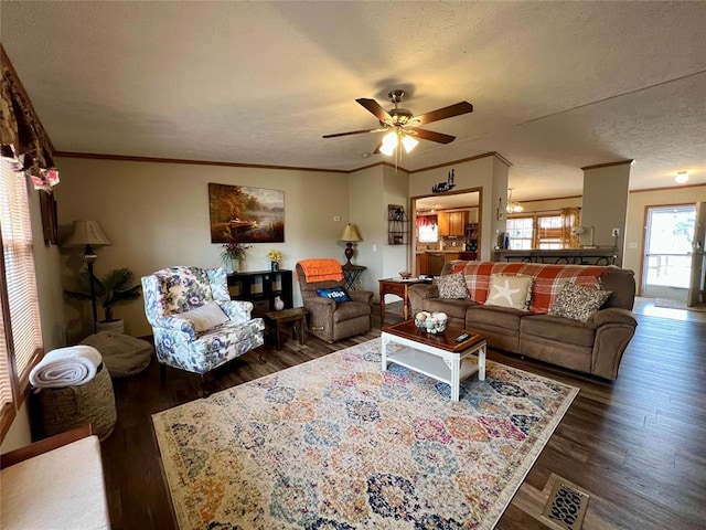 13132 Bluebird Ln, Kingston, OK 73439 - living room with wood finished floors, visible vents, ceiling fan, a textured ceiling, and crown molding