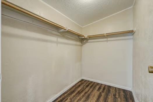 walk in closet featuring lofted ceiling and dark wood-style floors