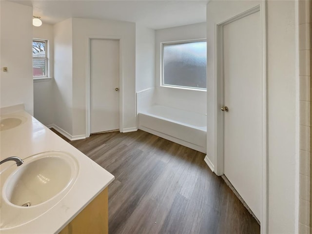 full bathroom featuring a garden tub, a sink, wood finished floors, double vanity, and baseboards