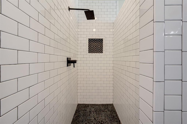 full bathroom with a tile shower