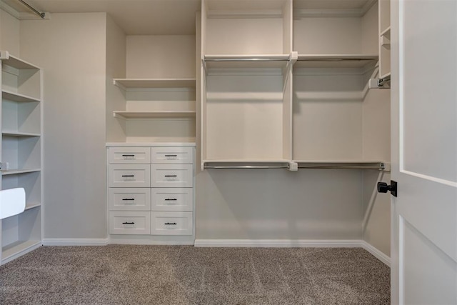 walk in closet with carpet floors