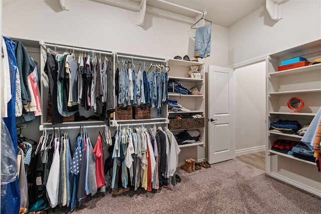 walk in closet featuring carpet floors