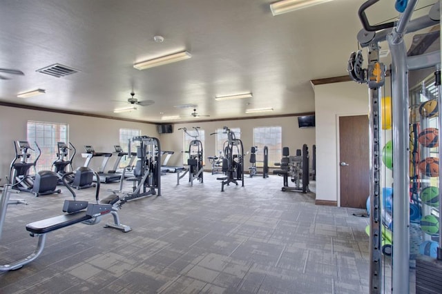 exercise room with baseboards, visible vents, carpet floors, ceiling fan, and crown molding