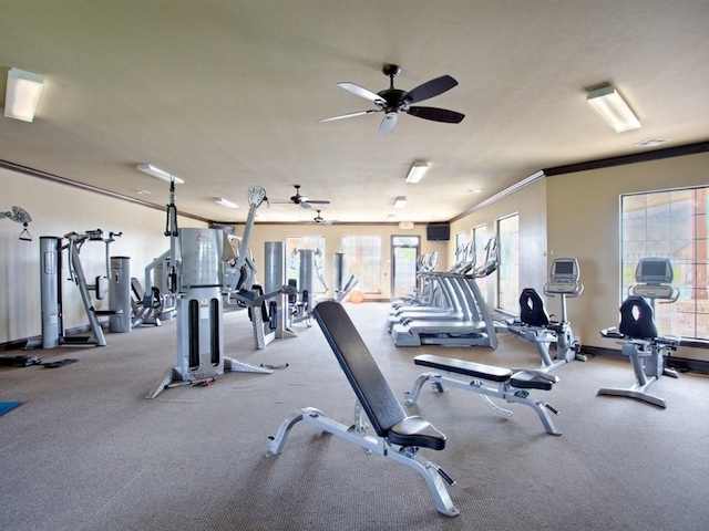 gym featuring a ceiling fan, crown molding, and baseboards