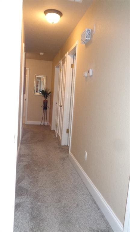 hall with baseboards and carpet flooring