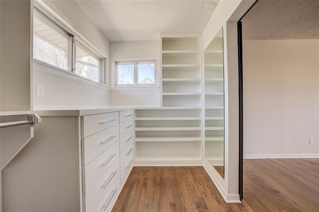 walk in closet featuring dark wood finished floors