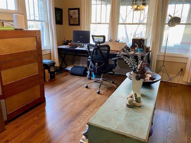 office featuring a healthy amount of sunlight and wood finished floors