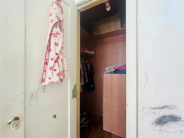 view of closet