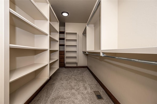 walk in closet with visible vents and carpet floors