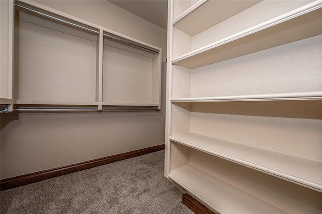 walk in closet featuring carpet flooring