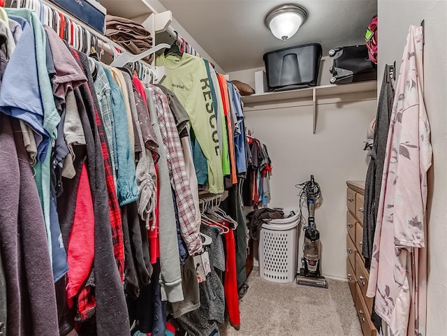 spacious closet featuring carpet floors