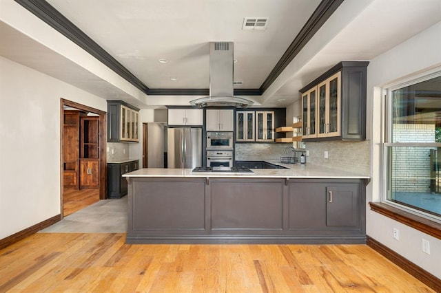 kitchen featuring ornamental molding, a peninsula, island exhaust hood, stainless steel appliances, and a raised ceiling