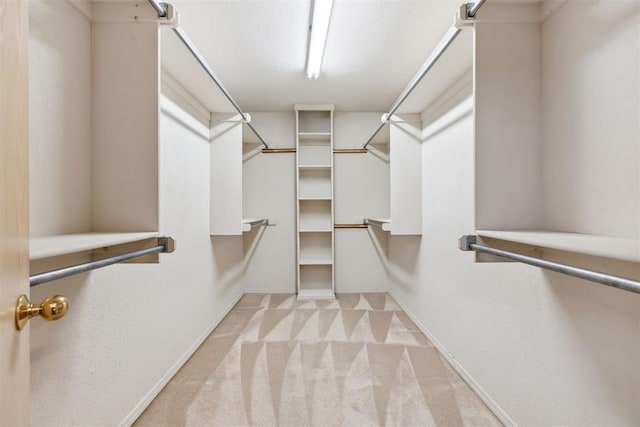 spacious closet featuring carpet floors