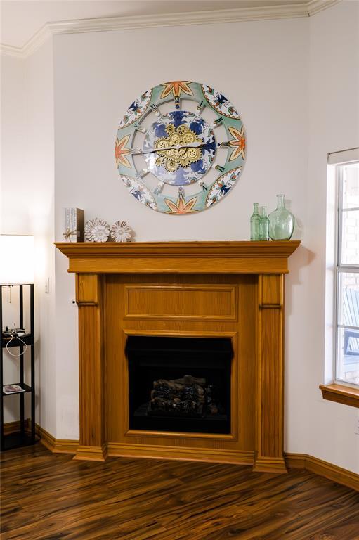 details with wood finished floors, a fireplace, baseboards, and ornamental molding