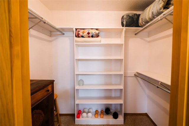 view of spacious closet