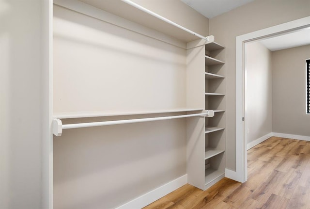 walk in closet featuring wood finished floors
