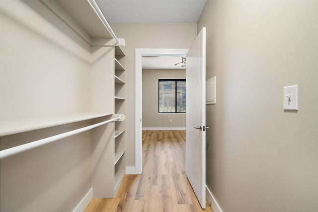 spacious closet featuring light wood-style flooring