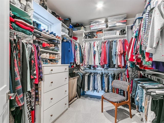 spacious closet with carpet flooring