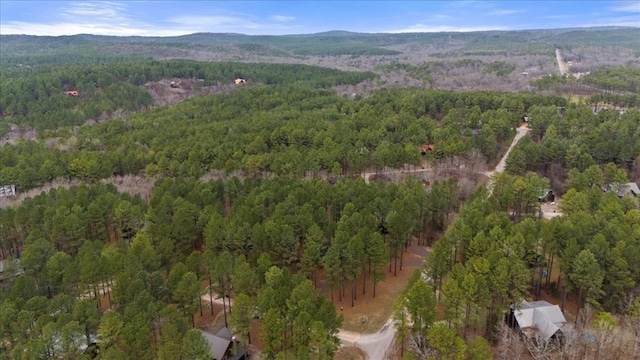 bird's eye view with a forest view