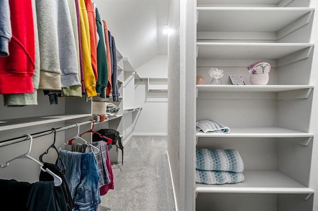 spacious closet with carpet flooring