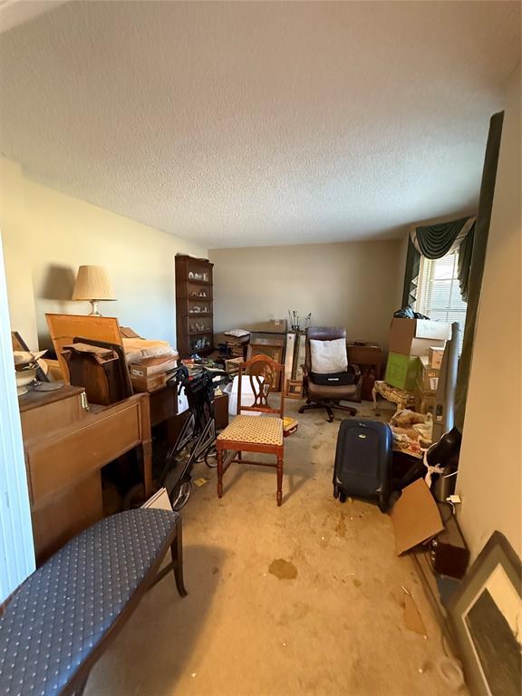 interior space featuring light colored carpet and a textured ceiling