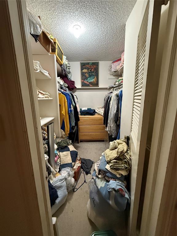 spacious closet featuring carpet floors