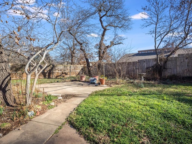 view of yard featuring a patio and a fenced backyard