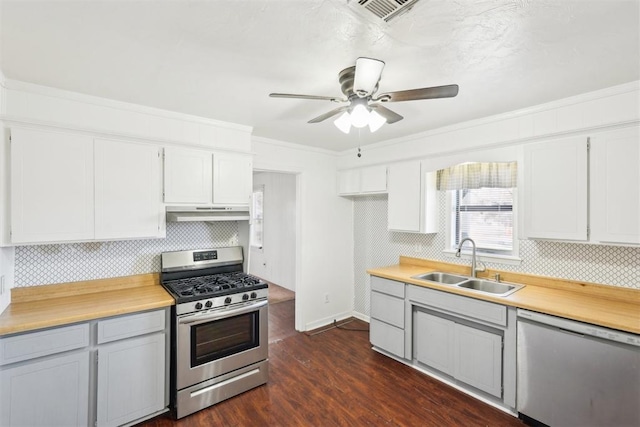 kitchen featuring a sink, light countertops, under cabinet range hood, and stainless steel appliances