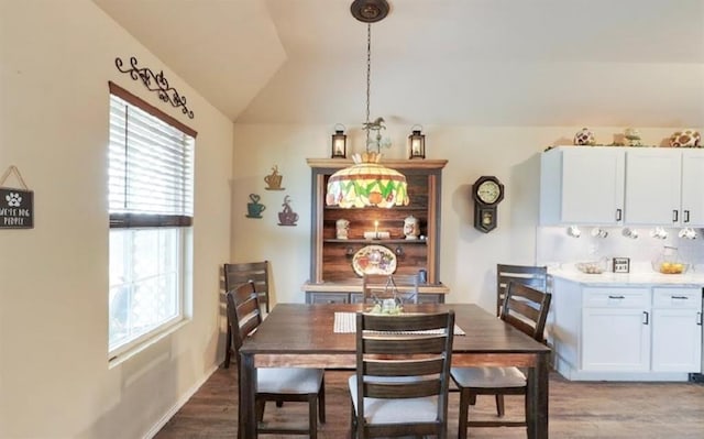 42195 Elles Way, Shawnee, OK 74804 - dining area featuring wood finished floors and vaulted ceiling