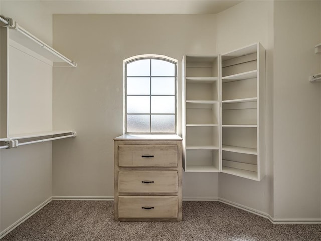 walk in closet with carpet floors