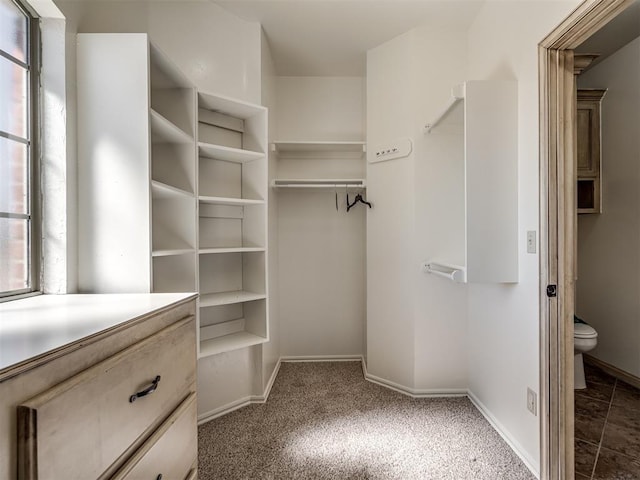 spacious closet with carpet flooring