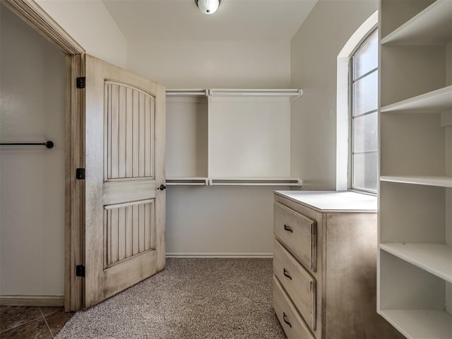 spacious closet featuring carpet floors