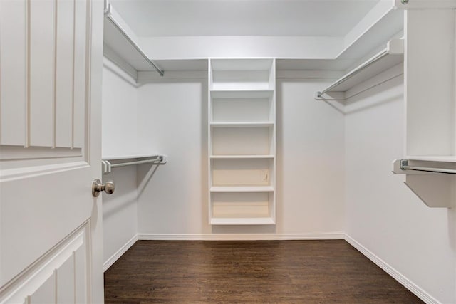 walk in closet with dark wood-type flooring