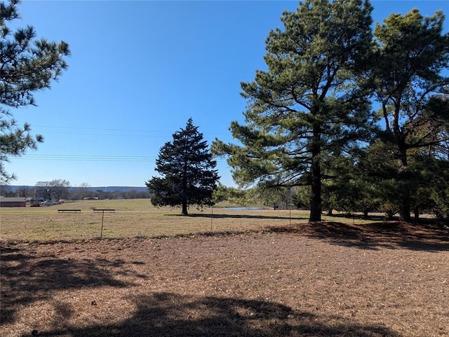 view of yard featuring a rural view