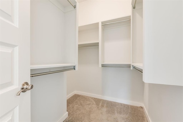 spacious closet with carpet