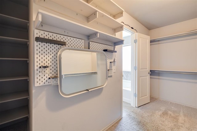 spacious closet with carpet flooring