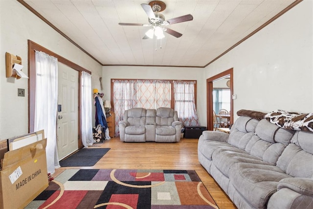 living area featuring crown molding, a ceiling fan, and wood finished floors