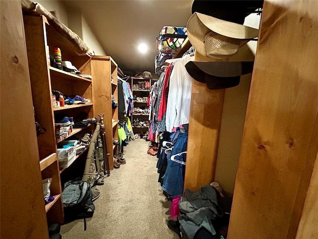 spacious closet featuring carpet