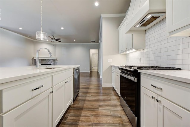 kitchen with ceiling fan, custom range hood, ornamental molding, stainless steel appliances, and a sink