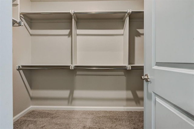 walk in closet with carpet