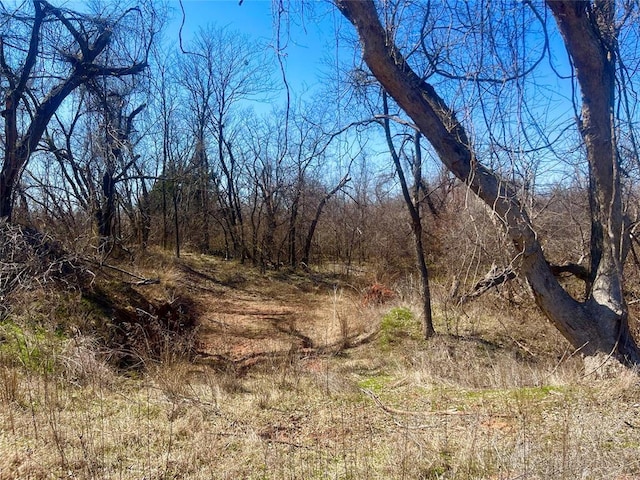 view of landscape