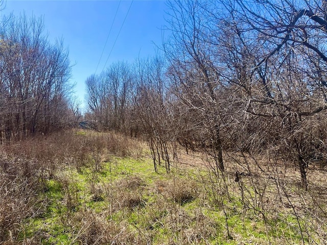 view of local wilderness